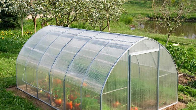Оранжерейное сердце вашего сада: как выбрать идеальную поликарбонатную теплицу от производителя